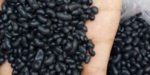TALC GRANULES