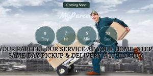 Domestic Courier Services