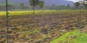 Solar Fencing System