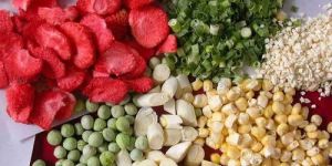 Freeze Dried Vegetables