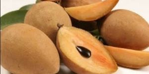 Fresh Sapodilla