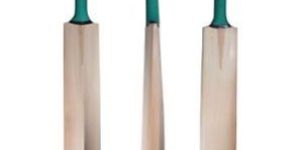 Kashmir Willow Cricket Bat