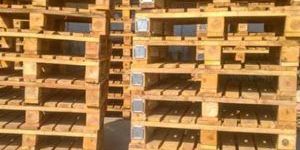 Heavy Duty Wooden Pallets