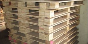 Plywood Pallets