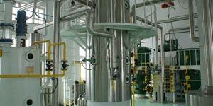 Vegetable Oil Processing Plant