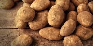 Fresh Potato
