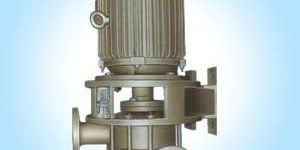 Vertical Glandless Pump