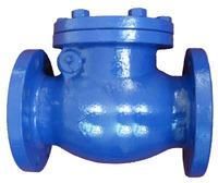 Industrial Check Valve