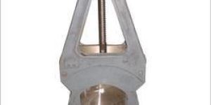 Pulp Valve