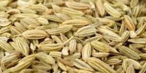 Fennel Seeds