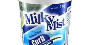 Milky Mist Curd Dahi