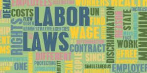 Labour Law Compliances