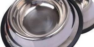 Stainless Steel Pet Utensils