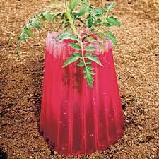 Bio Plant Protectors