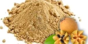 Spray Dried Chiku Powder