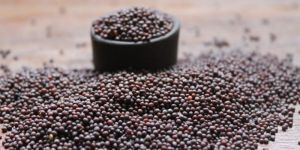Mustard Seeds