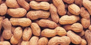Shelled Peanuts