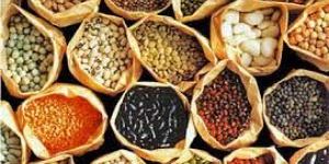 Hybrid Seeds
