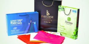 Printed Paper Carry Bags