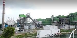 Sugar Plant