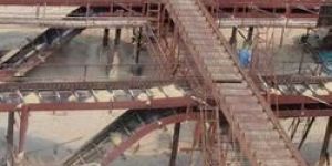 Industrial Bagasse Elevator