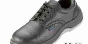 Derby Safety Shoes