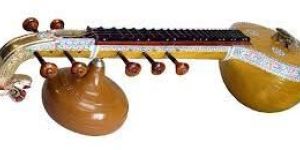 Saraswati Veena