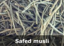 Safed Musli