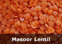 Organic Lentils