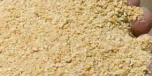 Organic Soybean Meal