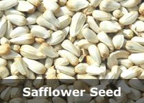 Organic Sunflower Seeds