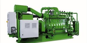 Biogas to Electric Power Generation