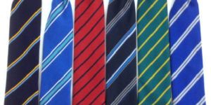 Printed School Ties
