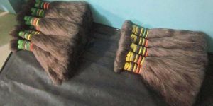 Single & Double Drown Gray Hair