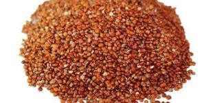 Red Quinoa Seeds