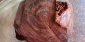 Red Sandalwood Logs