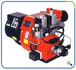 Dual Fuel Burner