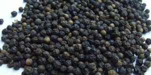 Black Pepper