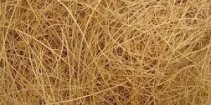 Coir Fiber
