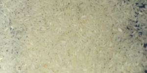 Sarthi Ropali BPT Rice