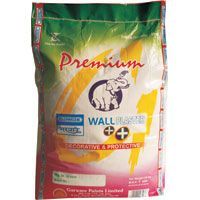 Wall Plaster