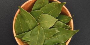 Bay Leaves