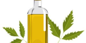 Neem Oil