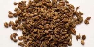 Carom Seed