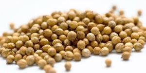 Coriander Seeds