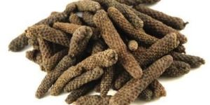 Long Pepper