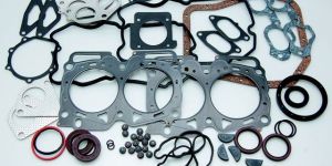 Moulded Rubber (Gaskets)