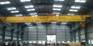 Double Girder EOT Cranes