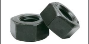 Hex Nuts
