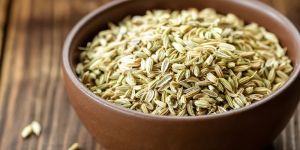Best Quality Fennel Seed